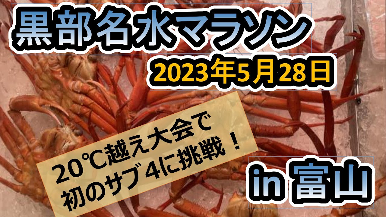 黒部名水マラソン_2023