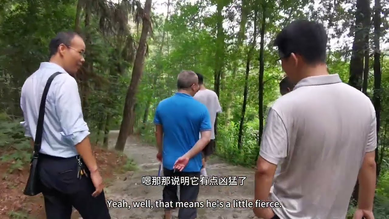 In Search of Yangshan Pass 1: Guangdong's Highest Peak & a 2,000-Year Mystery | 13 Aug 2023
