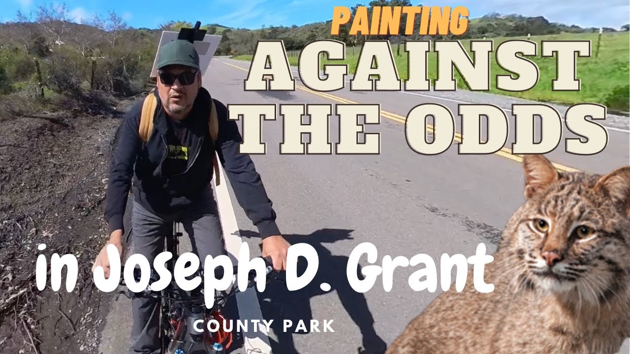 AGAINTS THE ODDS IN JOSEPH D. GRANT C.PARK  ( CONTRA LAS ADEVERSIDADES EN J.D.GRANT ) (SUBTITULADO)