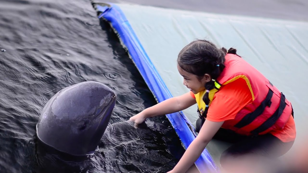 มูเน่ เที่ยว โอเอซิส ซีเวิลด์ #2 ว่ายน้ำกับโลมา [ Oasis Sea World ]