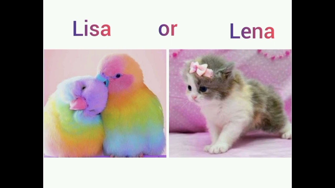Lisa or Lena Girl craft