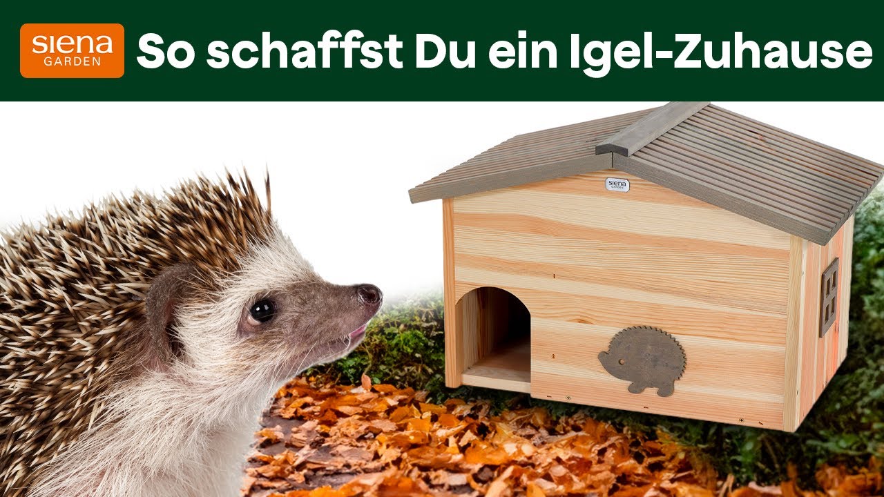 Warum ein Igelhaus in Deinem Garten unverzichtbar ist