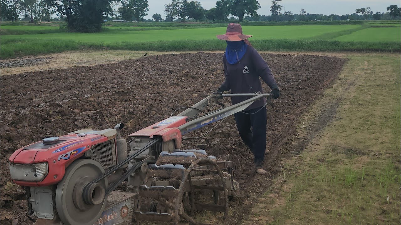 หญิงเกร่ง‼️ชาวบุรีรัมย์ 🚜ขับรถไถทำนา🌾กว่า20ไร่ 2 คนกับแม่หลังจากพ่อเสียไปหลายปี✅️