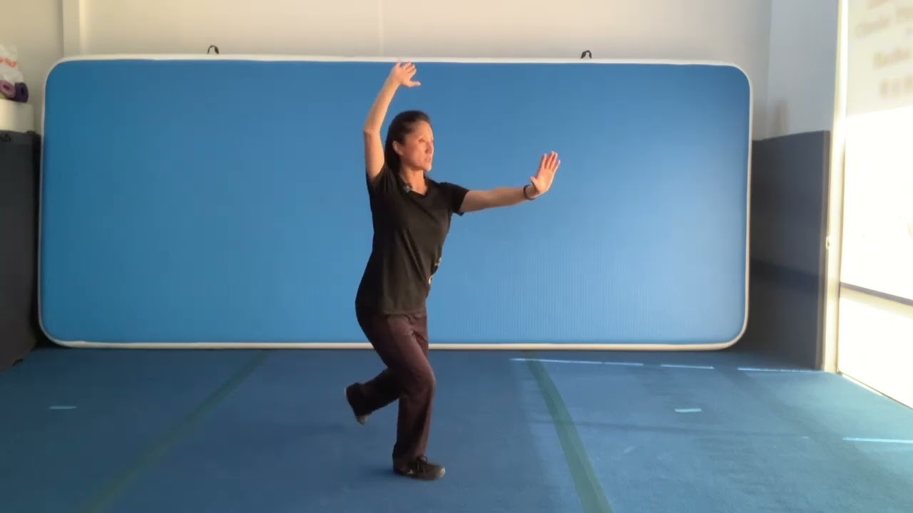 24 yang Taichi needle in the sea with flash push breakdown training 海底针闪通臂训练