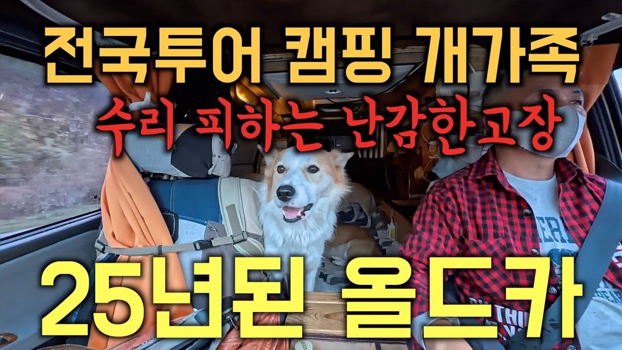 개3마리와 전국투어, 첫 난관 봉착기 #이스타나캠핑카 #반려견