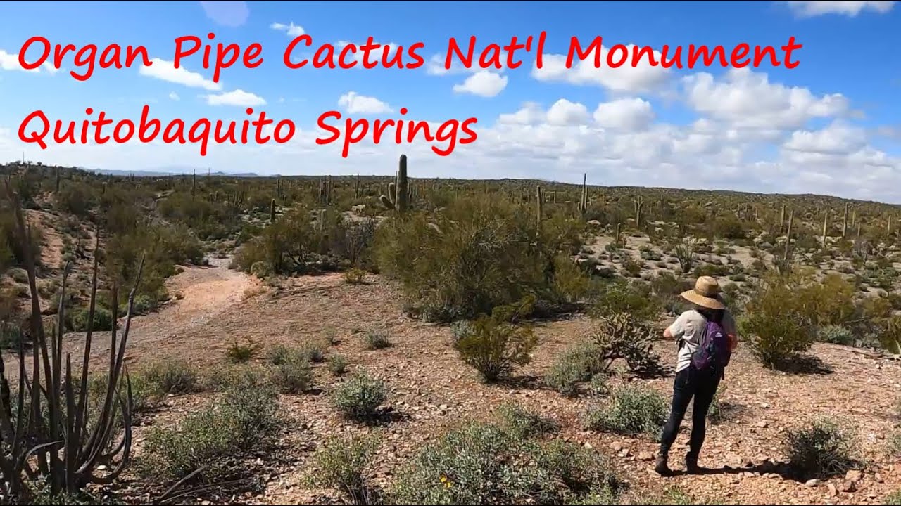 Quitobaquito Springs, Organ Pipe Cactus National Monument and the Border Wall.