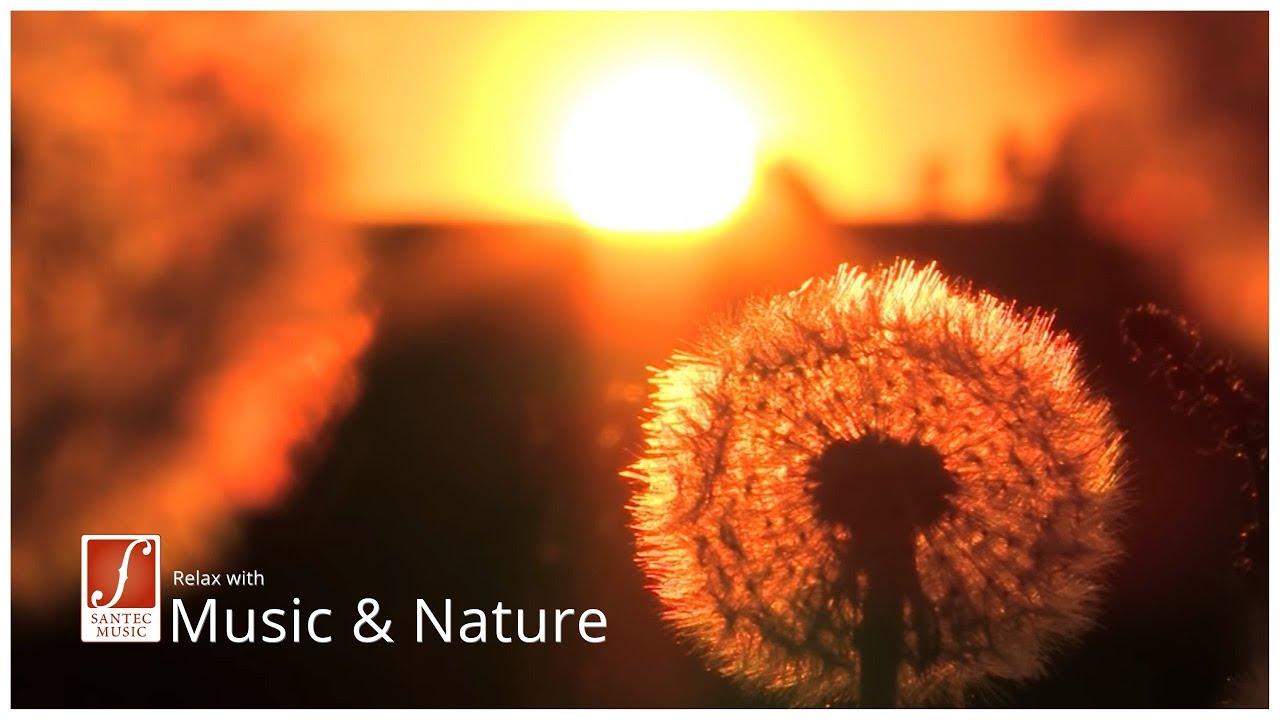 Crescent Moon | Evening Symphony | Deep Relaxing Music | Santec Music Orchestra