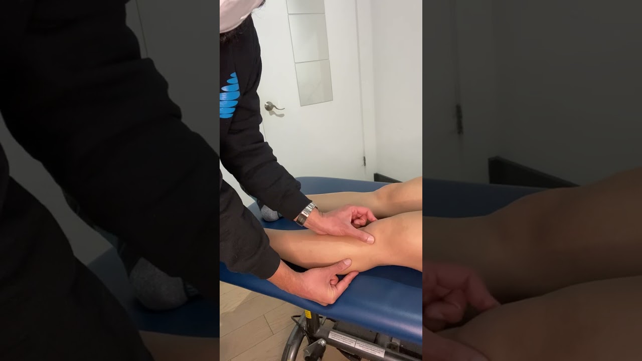 Knee Palpation