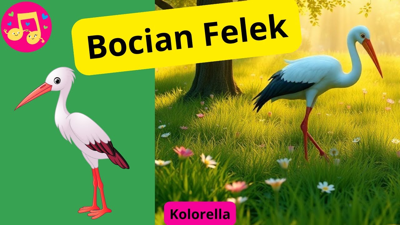 Bocian Felek - wesoła piosenka o bocianie #kolorella #wiosennepiosenki #bocian #bociany