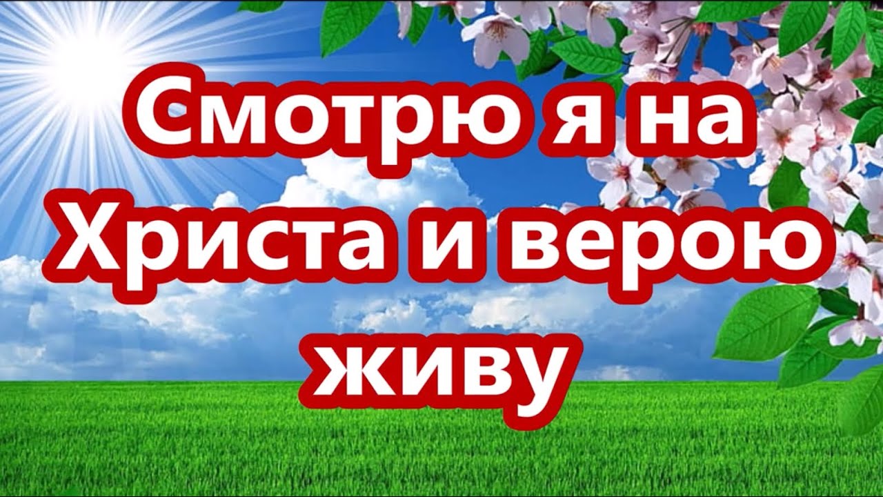 Смотрю я на Христа и верою живу, (Минус фонограмма с текстом)