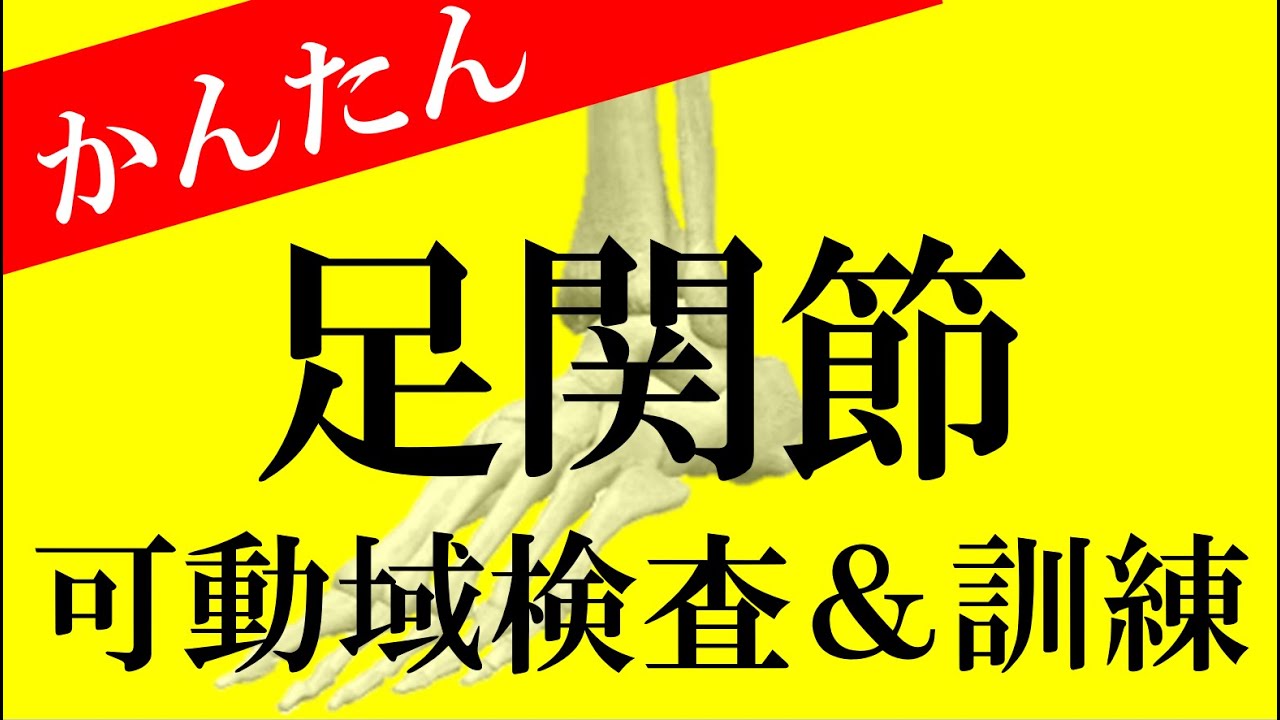 拘縮予防！「背屈・底屈」家族でできる関節可動域訓練/ストレッチ　リハビリ学生も必見！