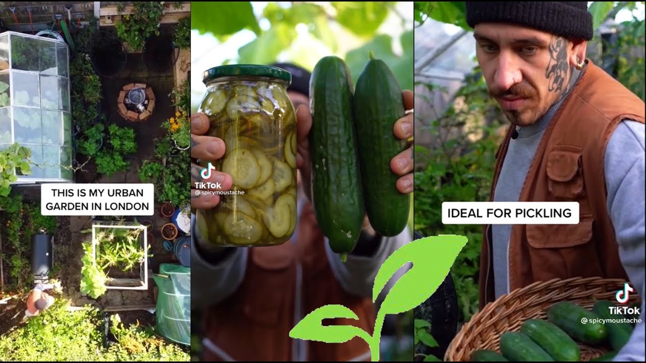 Gardening 🌱 Generational Wisdom for Sustainability 🌱 Plants and Harvest TikTok Compilation