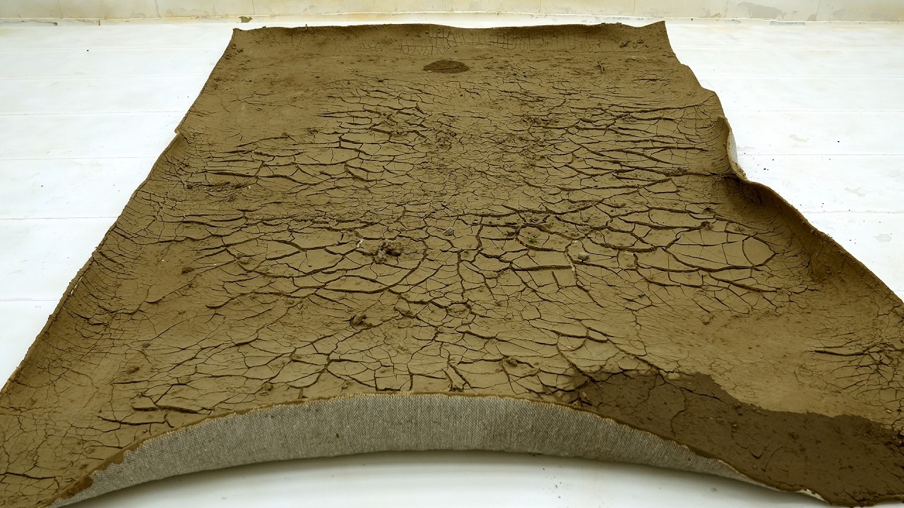 A Carpet Buried in Dry Mud for Months&hellip; The Result Was Unreal &ndash; Carpet Cleaning ASMR