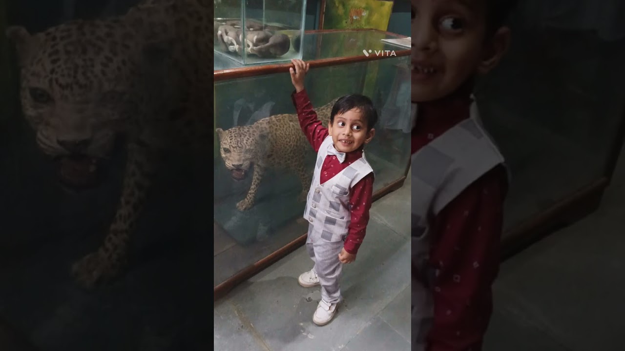 Rajabhat Khawa /Rajabhat Khawa museum/ Rajabhat Khawa AlipurduarRajabhatkhawa MuseumBuxa tiger 