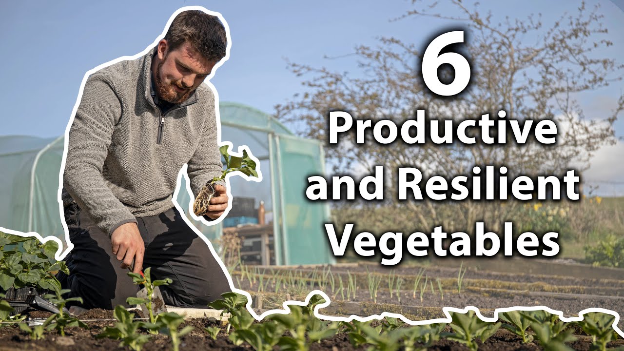 The 6 Ultimate Vegetables to Grow for Self-Sufficiency