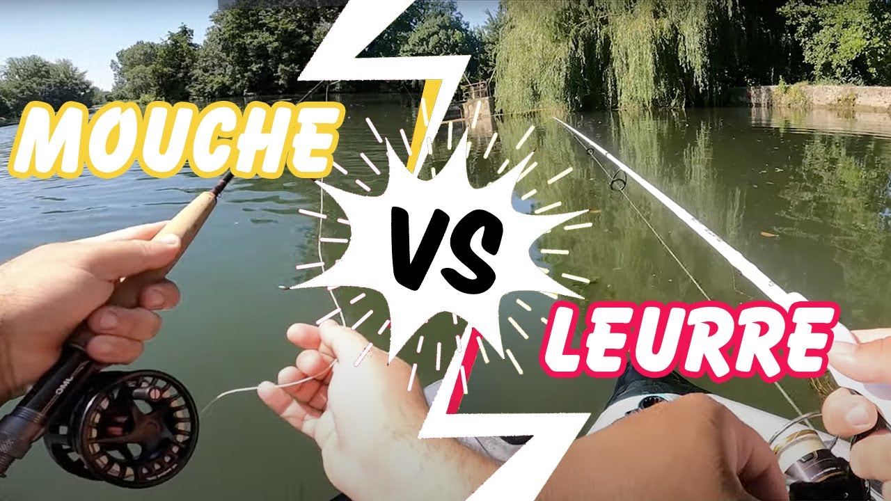 MOUCHE contre LEURRE !! J'ai pas été BON... feat un abonné