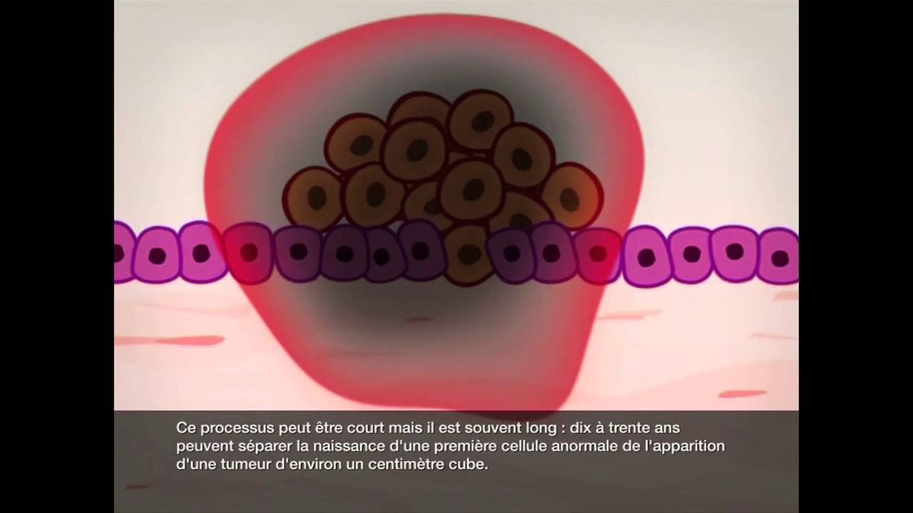 Le cancer: de la cellule saine &agrave; la cellule malade (extrait)