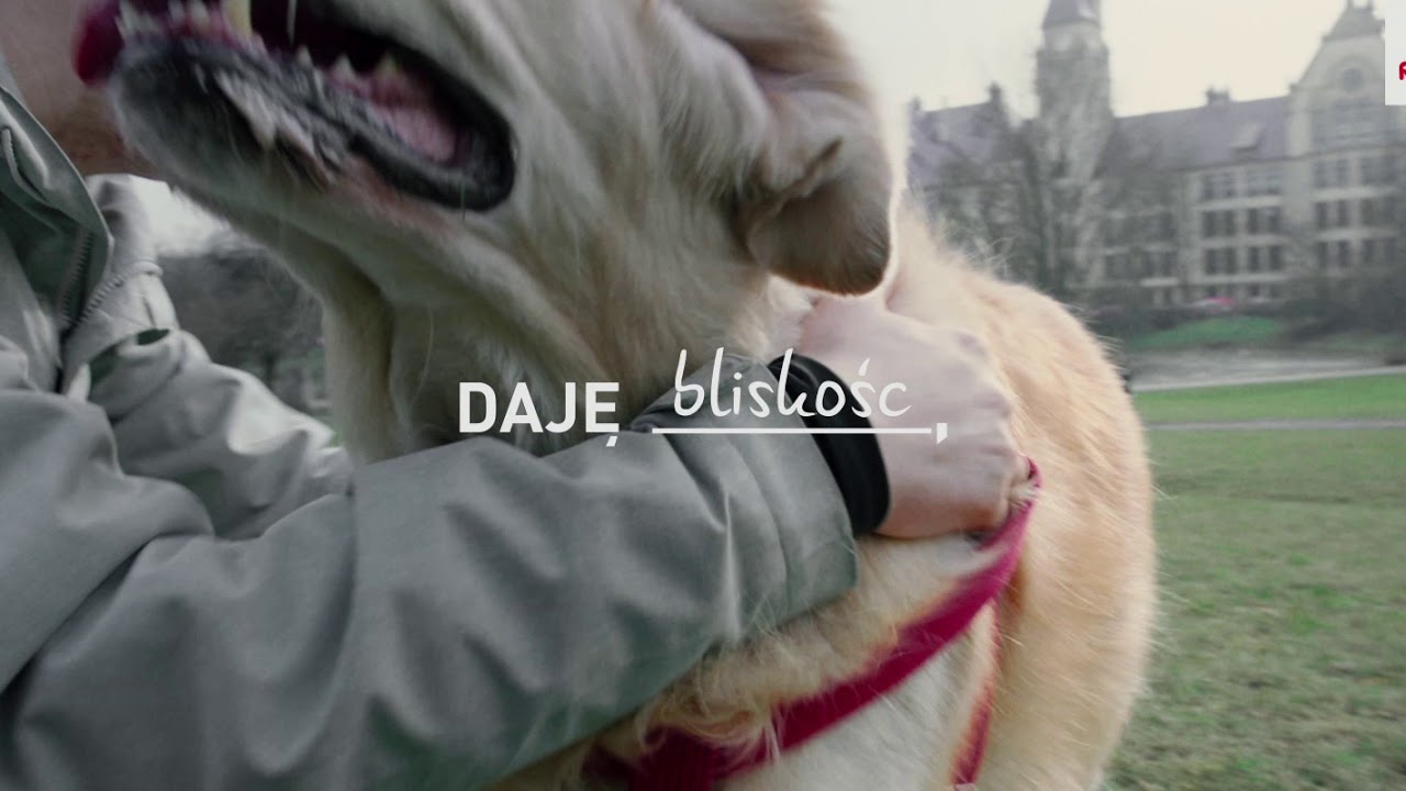 Daję przyjaźń, daję Royal Canin | To widać!