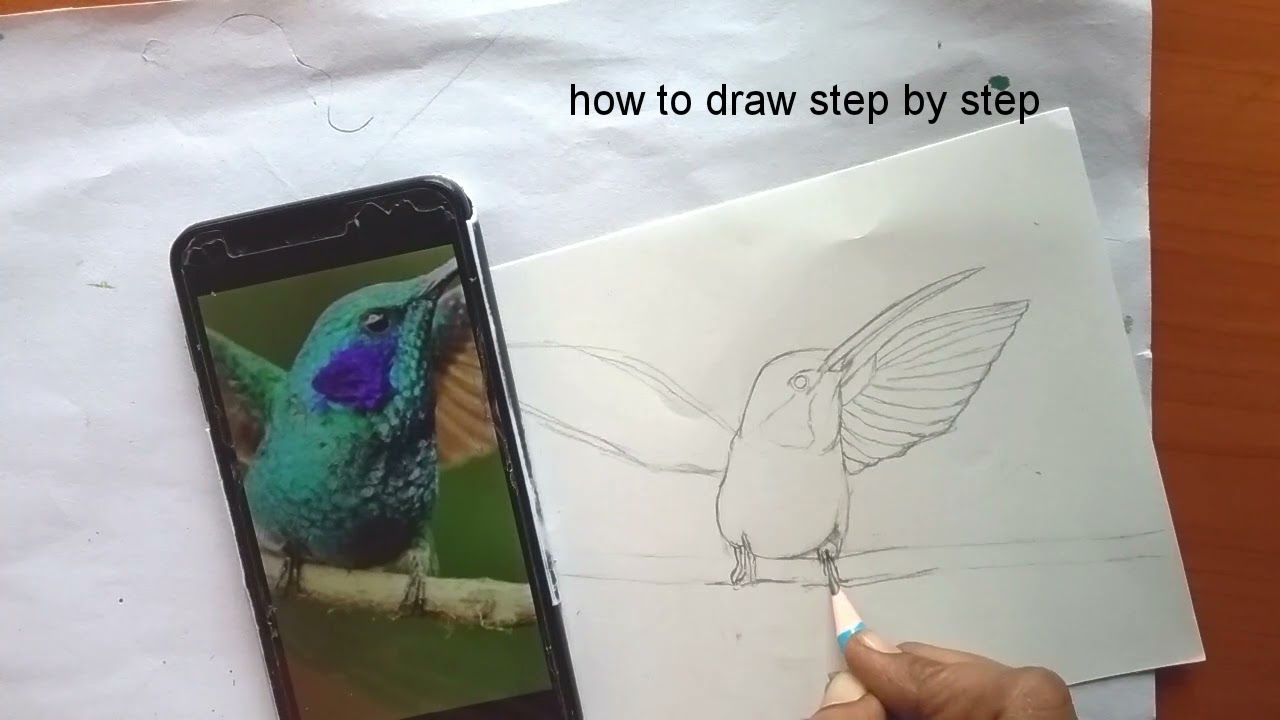 how to draw a humming bird, draw with me #1,bird drawing,