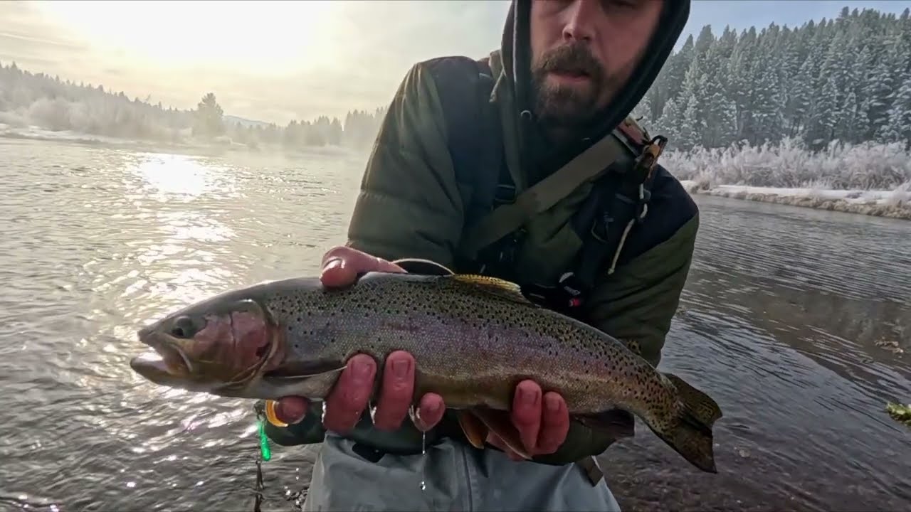 Snowy Success: Winter Fishing the Little Truckee River