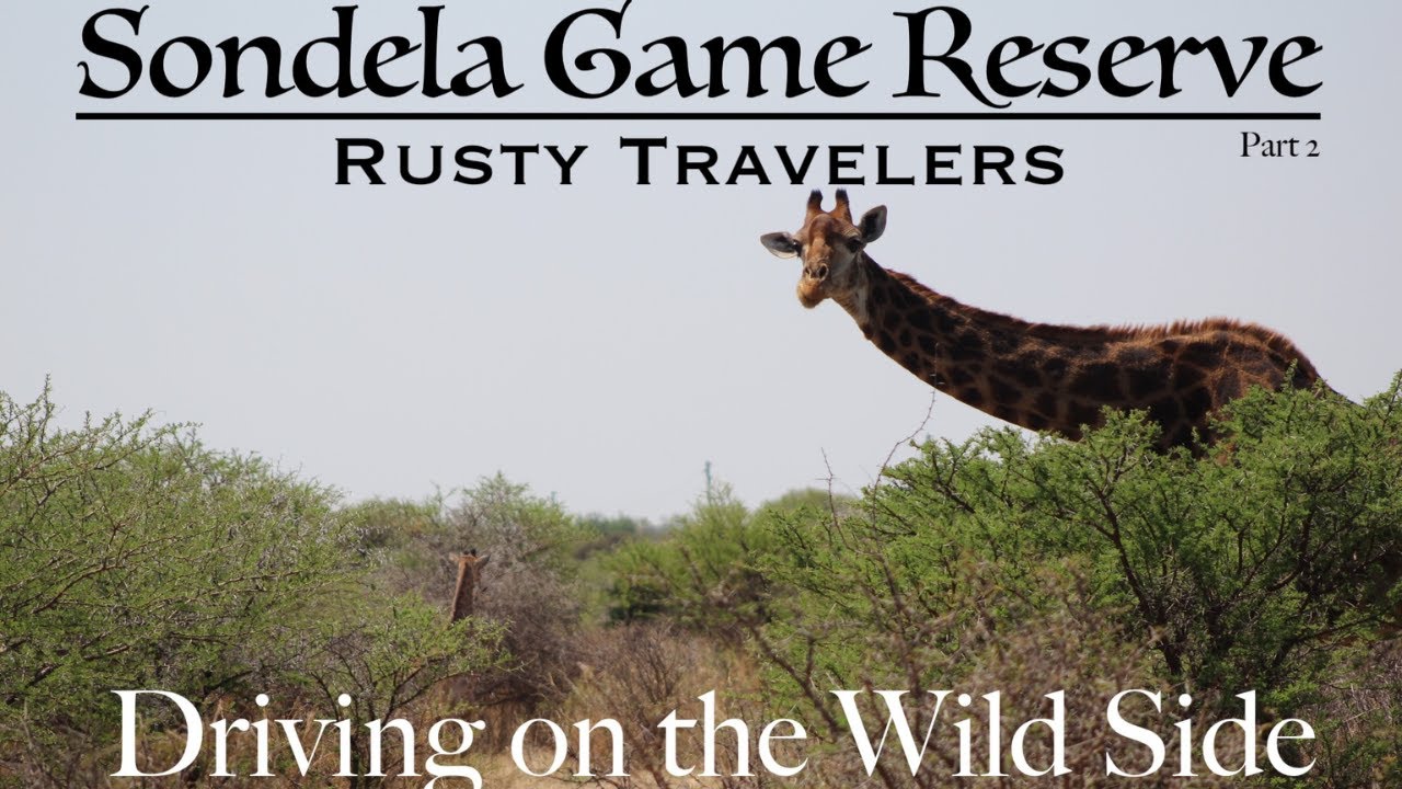 Жизнь в лесу, кемпинг, поездка на дикую природу