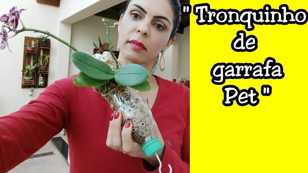 Tronquinho de garrafa Pet para orquídeas