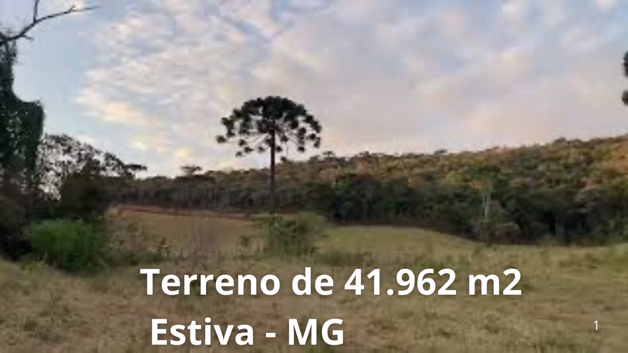 Terreno Com Área De 41.000  m2 à Venda em Estiva MG
