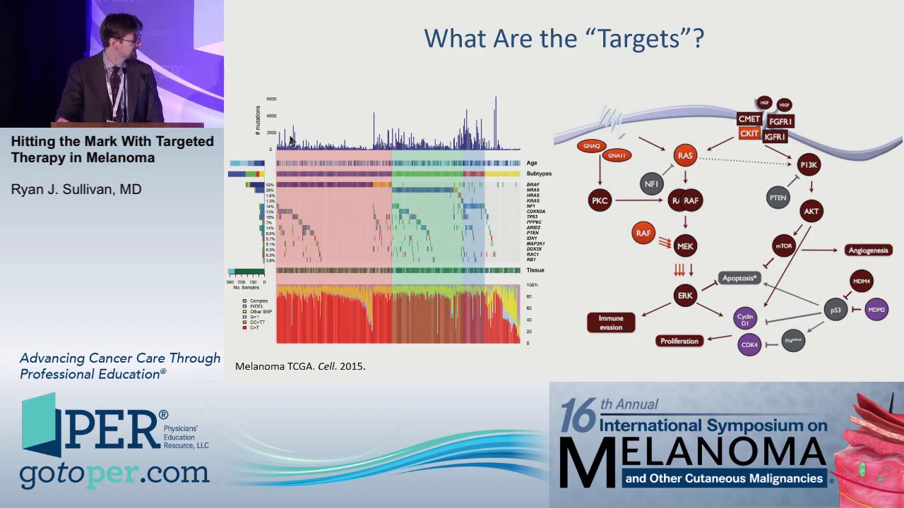 Hitting the Mark with Targeted Therapy: BRAF, NRAS, CKIT, etc...Sullivan