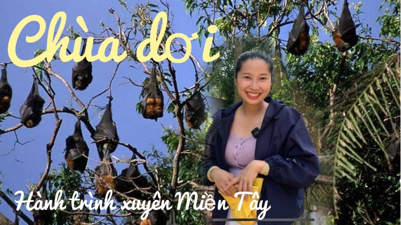 Hành trình xuyên Miền Tây - đến Chùa Dơi bất ngờ với kích thước của con dơi nơi đây