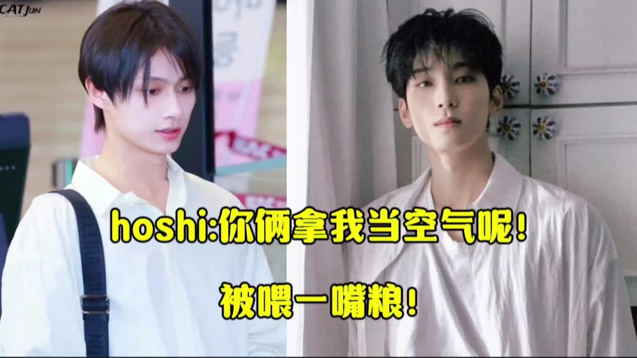 【佑灰wonhui】hoshi:你俩拿我当空气呢！被喂一嘴粮！#seventeen #wonhui #文俊辉 #全圆佑 #cp