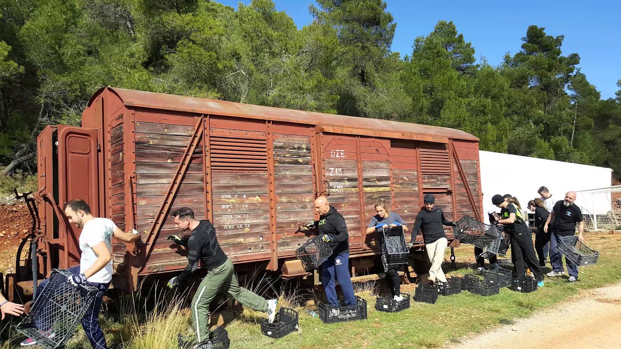 IKMF Krav Maga Winter Camp Greece 2016