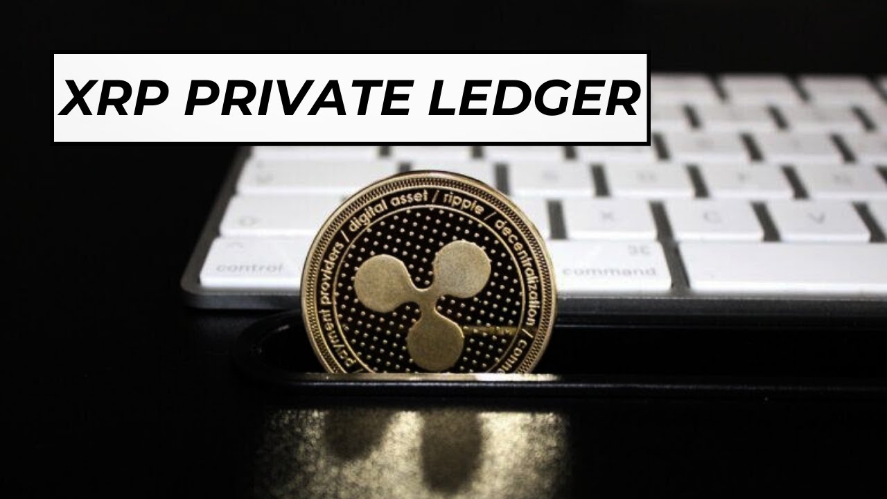 Central Bank Digital Currency's Private Ledger