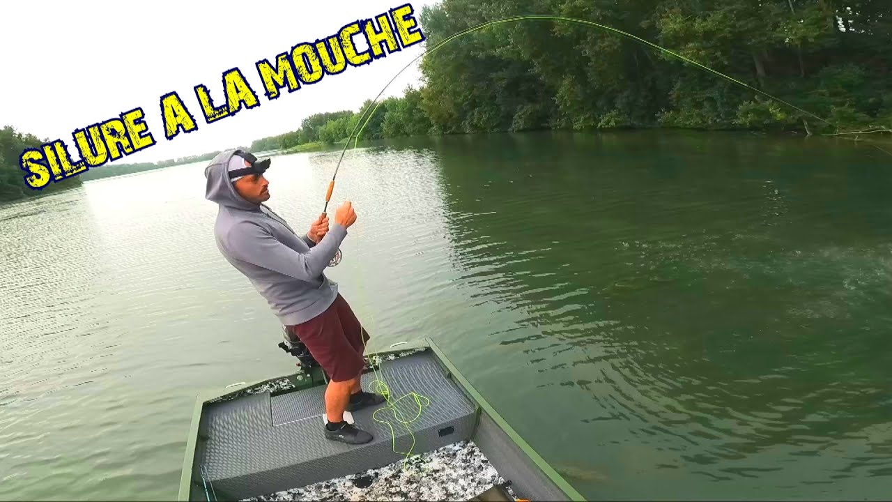 SILURE A LA MOUCHE AVEC BARBELKING