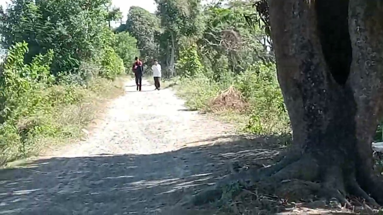 February 5, 2026 Mga katoda.nakarating ako sa bukirin