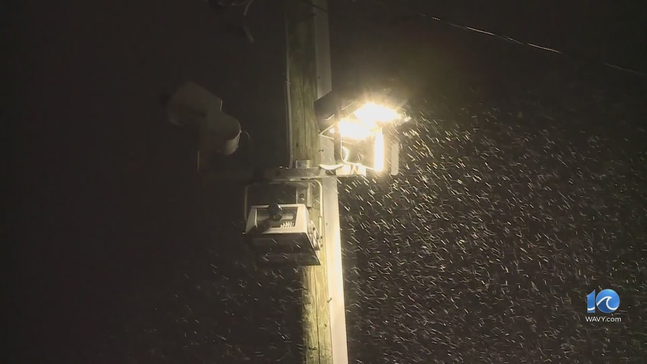 Bitter cold, high winds