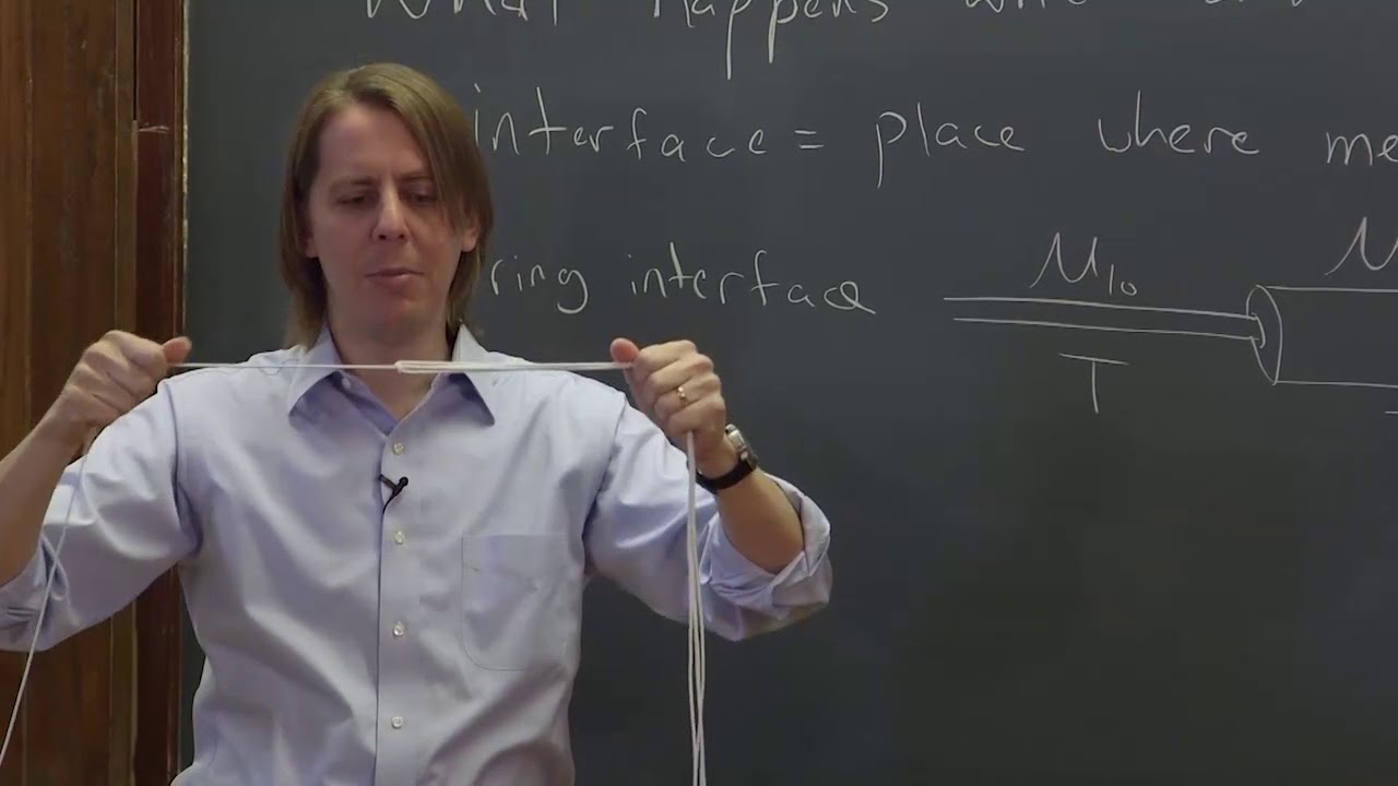 PHYS 201 | Wave Interface 1 - A Stepped String