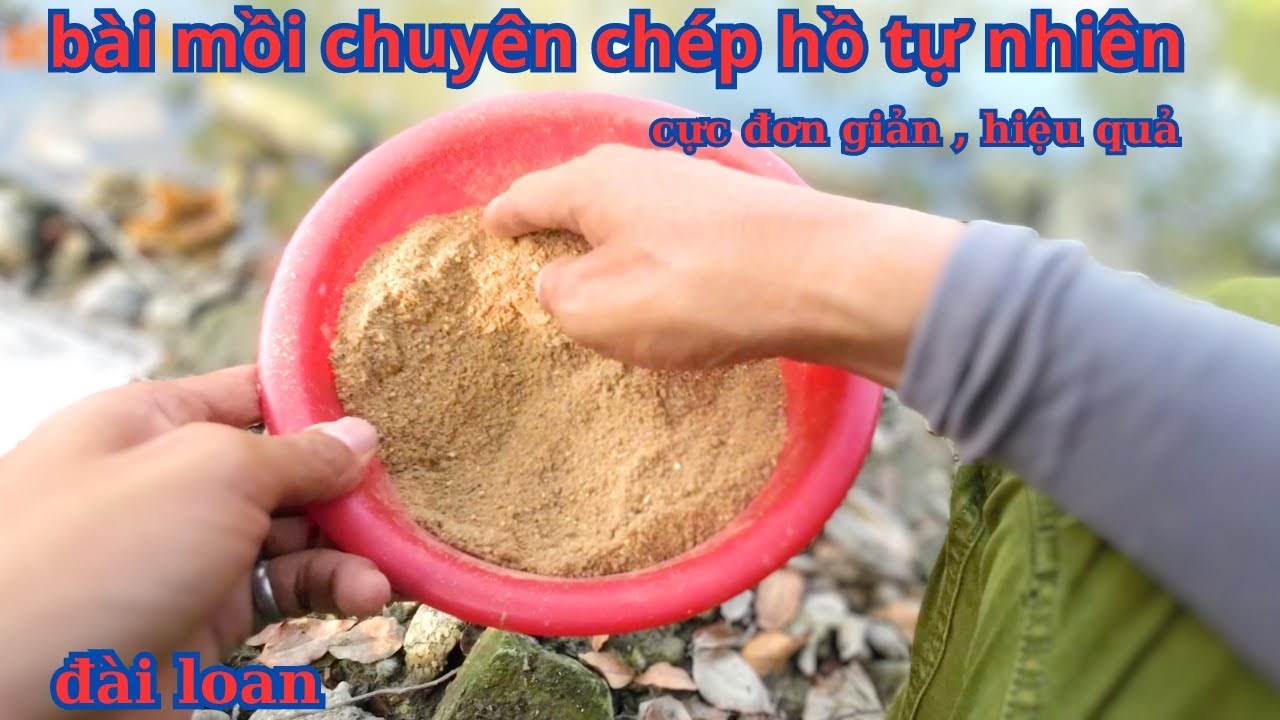 Chia sẻ bài mồi đặc trị chép tự nhiên cực kỳ hiệu quả và đơn giản / atrư vlog