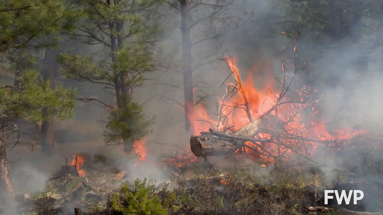 Controlled Burn