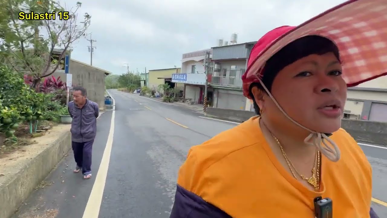 Sll ngintili Sulastri 15 mbah kukang ‼️ Mendung pagi panen cabe & pepaya lepra . 