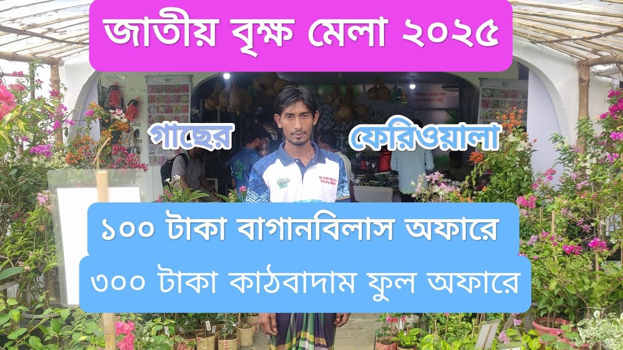 বাগানবিলাস ও কাঠগোলাপ ফুল অফারে কিনুন।🌷 গাছের ফেরিওয়ালা।💐 জাতীয় বৃক্ষ মেলা ২০২৫