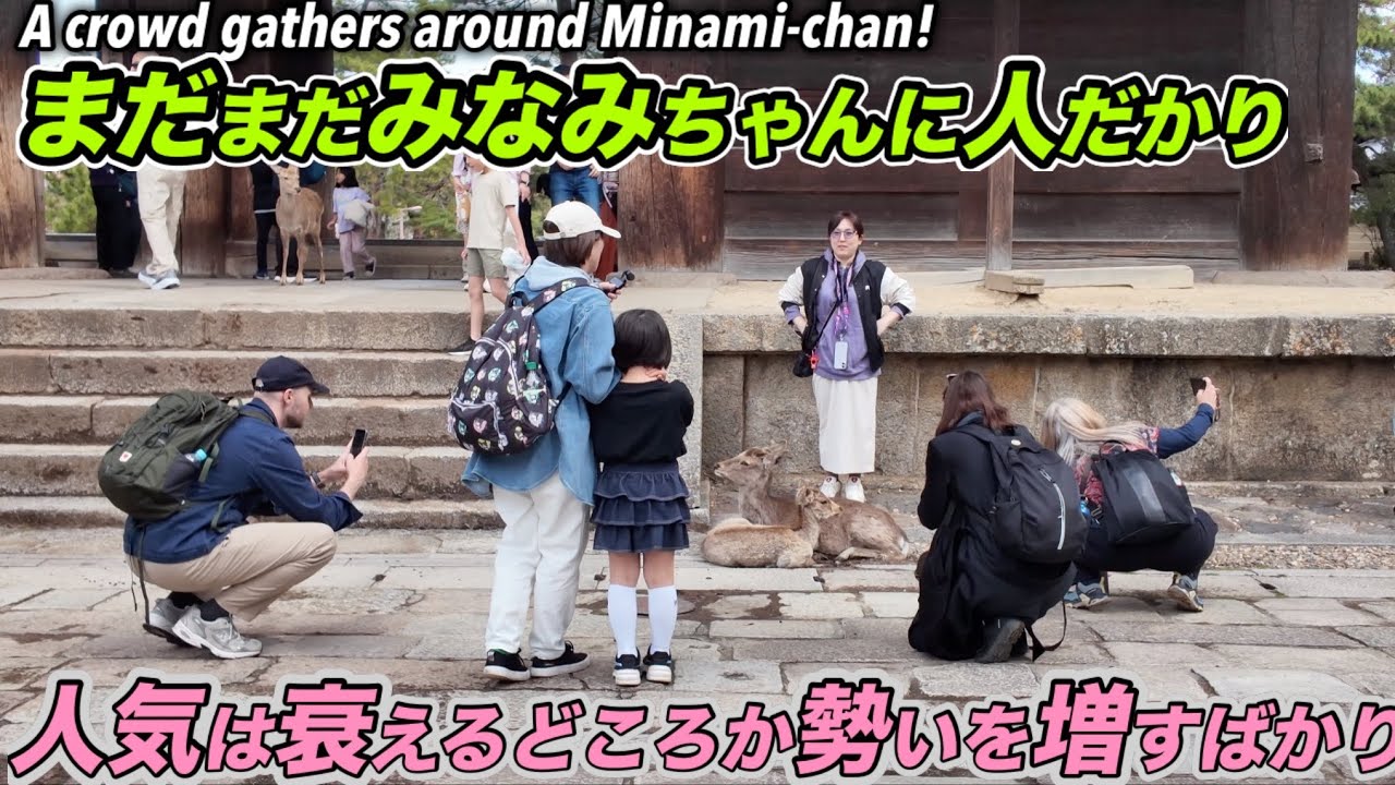まだまだみなみちゃんに人だかりA crowd gathers around Minami-chan!