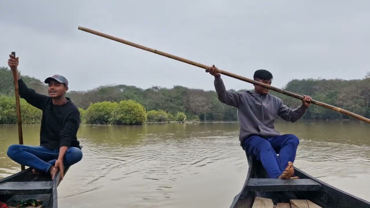 Beautiful Song in Ratargul Swamp Forest, Sylhet 