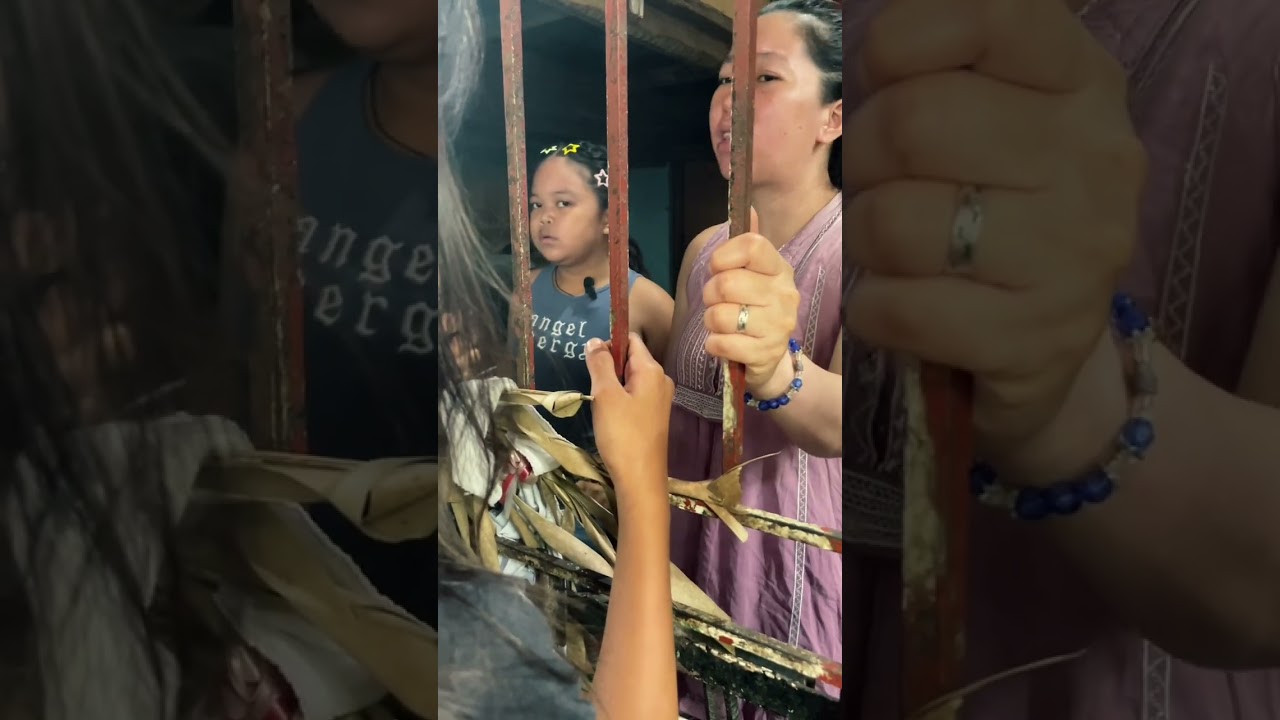 batang pinag damutan ng panood