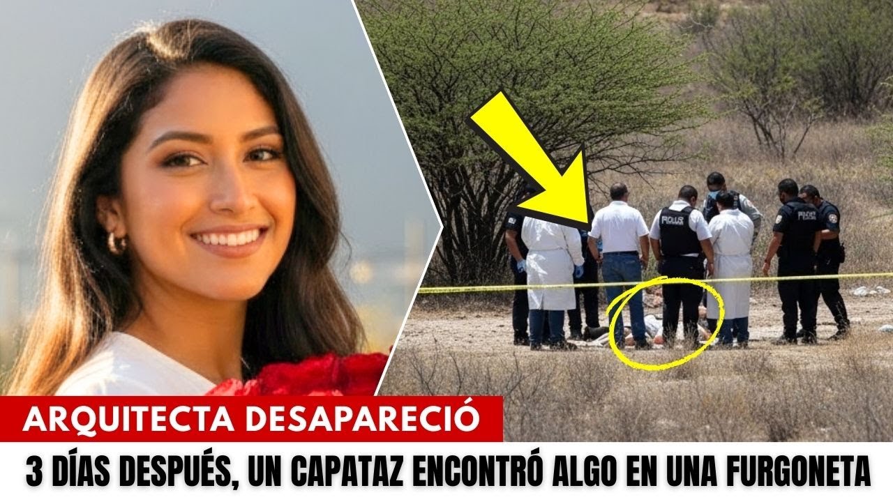 Arquitecta desapareció durante un viaje. 3 días después, un capataz encontró algo en una furgoneta