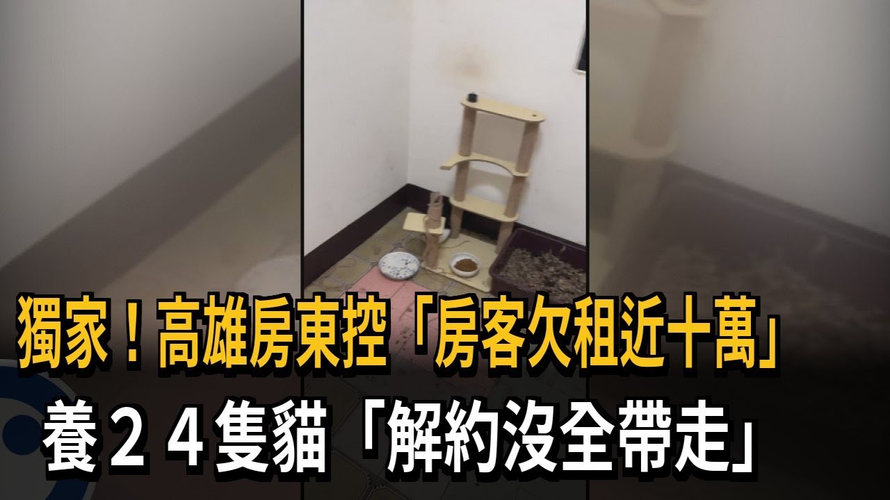 獨房東控「房客欠租近10萬」 養24隻貓解約沒全帶走－民視新聞