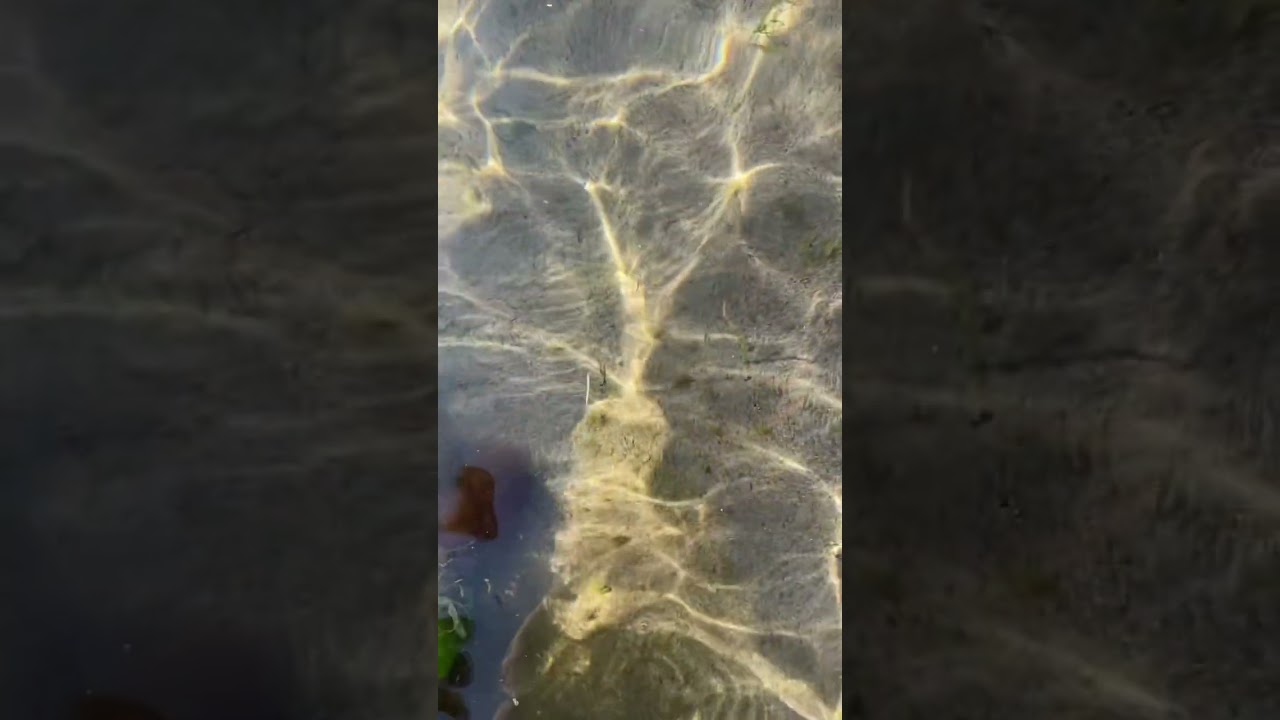 Sea weaving patterns 