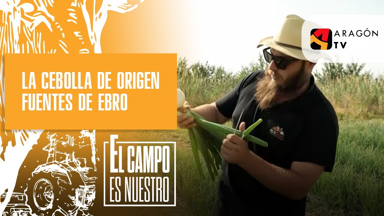 La cebolla denominación de origen Fuentes de Ebro