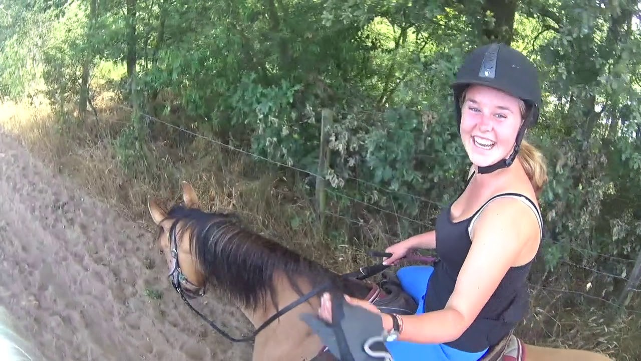 vlog week 3 2019 Fjordenpaard