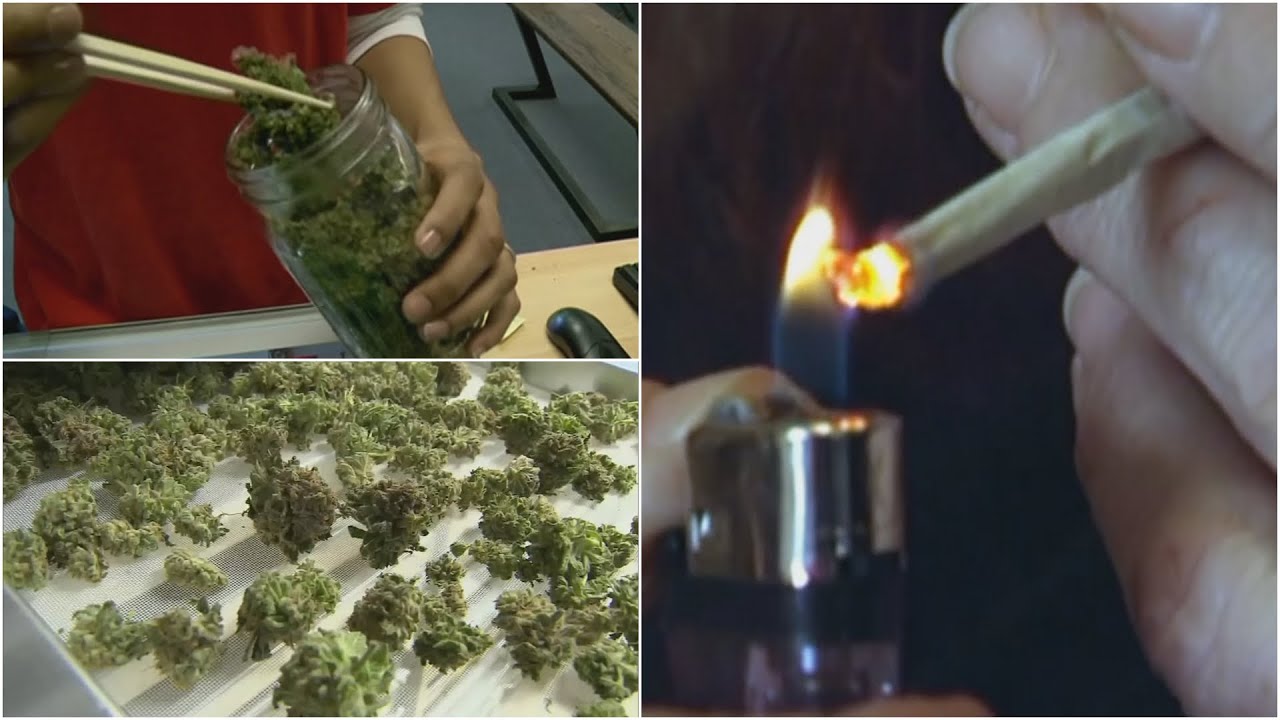 Legalizing marijuana in Arizona