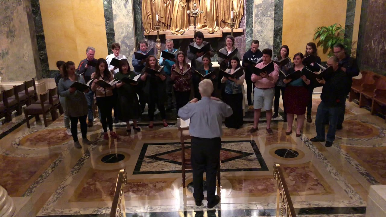 Confitebor tibi, Domine (Palestrina) - Schola Cantorum St. Matthew’s Cathedral